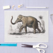 ヴィンテージ1892アジア象のプリントの分離 薄葉紙 (クラフト)