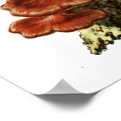 ヴィンテージ1895マッシュルーム茶色の木の真菌アートプリント ポスター (角)