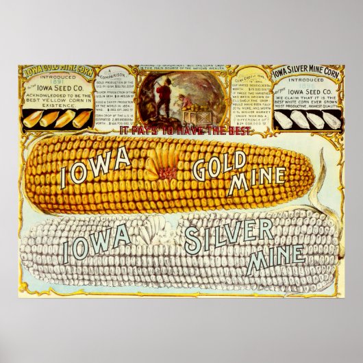 ヴィンテージ1896アイオワコーン広告 ポスター (正面)