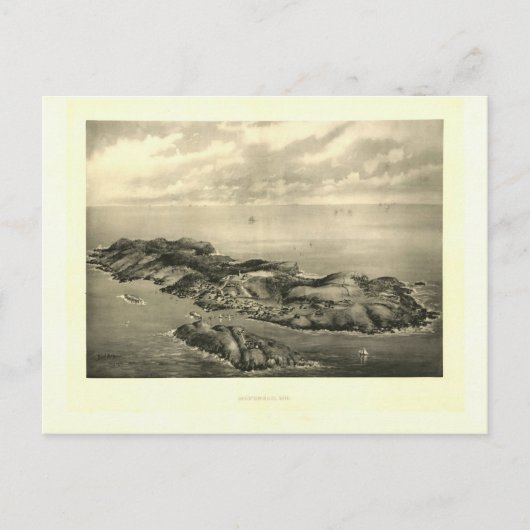 ヴィンテージ1896モンハイガンアイランドプリント ポストカード (正面)