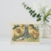 ヴィンテージ1898ベビーシック復活祭グリーティング ポストカード (スタンド正面)