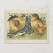 ヴィンテージ1898ベビーシック復活祭グリーティング ポストカード (正面)