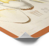 ヴィンテージ1899マッシュルームオレンジイエローアートプリント ポスター (角)