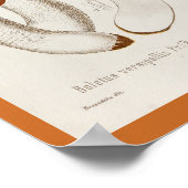 ヴィンテージ1899マッシュルームブラウンオレンジアートプリント ポスター (角)