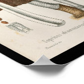 ヴィンテージ1899マッシュルームブラウンホワイトアートプリント ポスター (角)