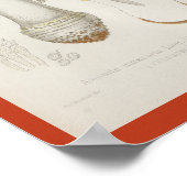 ヴィンテージ1899マッシュルームレッドイエローアートプリント ポスター (角)