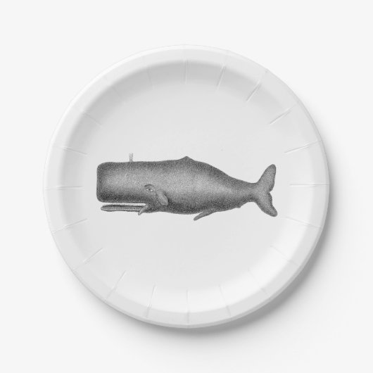 ヴィンテージ19センチュリークジラスケッチ ペーパープレート (正面)