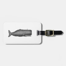 ヴィンテージ19世紀クジラのイラスト N