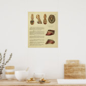 ヴィンテージ1900馬の足のホフ解剖学プリント ポスター (キッチン)