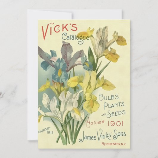 ヴィンテージ1901年Vickの種植物カタログ 招待状 (正面)