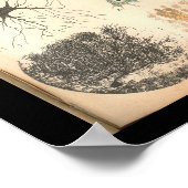 ヴィンテージ1901神経細胞解剖学プリント ポスター (角)