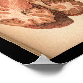 ヴィンテージ1901脳解剖学プリント ポスター (角)