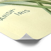 ヴィンテージ1901 Vickの種子と植物のカタログ ポスター (角)