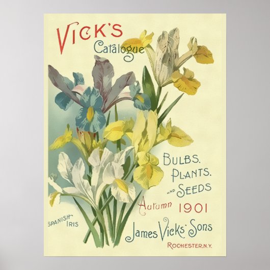 ヴィンテージ1901 Vickの種子と植物のカタログ ポスター (正面)