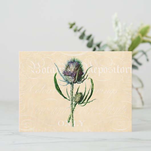 ヴィンテージ1902のスコットランド人のアザミのアンティークの野生の花 カード (スタンド正面)