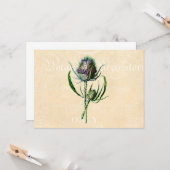 ヴィンテージ1902のスコットランド人のアザミのアンティークの野生の花 カード (正面/裏面インサイチュ)