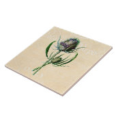 ヴィンテージ1902のスコットランド人のアザミのアンティークの野生の花 タイル (側面)