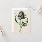 ヴィンテージ1902のスコットランド人のアザミの古い野生花 カード (正面/裏面インサイチュ)