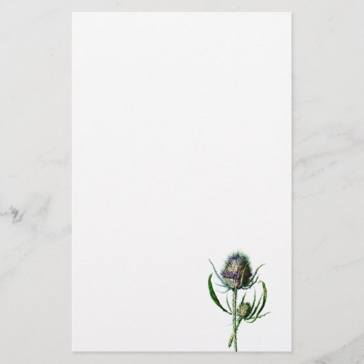 ヴィンテージ1902のスコットランド人のアザミの旧式な野生花 便箋 (正面)