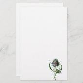 ヴィンテージ1902のスコットランド人のアザミの旧式な野生花 便箋 (正面/裏面)