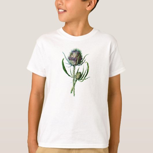 ヴィンテージ1902のスコットランド人のアザミの旧式な野生花 Tシャツ (正面)