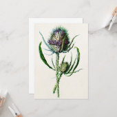 ヴィンテージ1902の古いスコットランドのアザミの野生花 カード (正面/裏面インサイチュ)