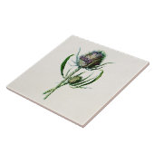 ヴィンテージ1902の古いスコットランドのアザミの野生花 タイル (側面)