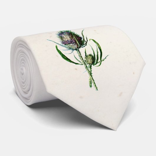 ヴィンテージ1902の古いスコットランドのアザミの野生花 ネクタイ (ロール)