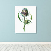 ヴィンテージ1902スコティッシュティスルアンティーク野生の花 キャンバスプリント (インサイチュ (ウッドフロア))