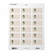 ヴィンテージ1902スコティッシュティスル古野花 ラベル (フルシート)