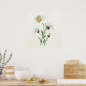 ヴィンテージ1902デイジー旧野花イラストレーション ポスター (キッチン)