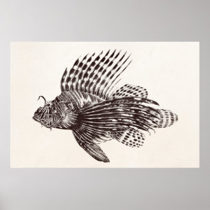 ヴィンテージ1905ライオンフィッシュさそりレトロライオン魚 ポスター