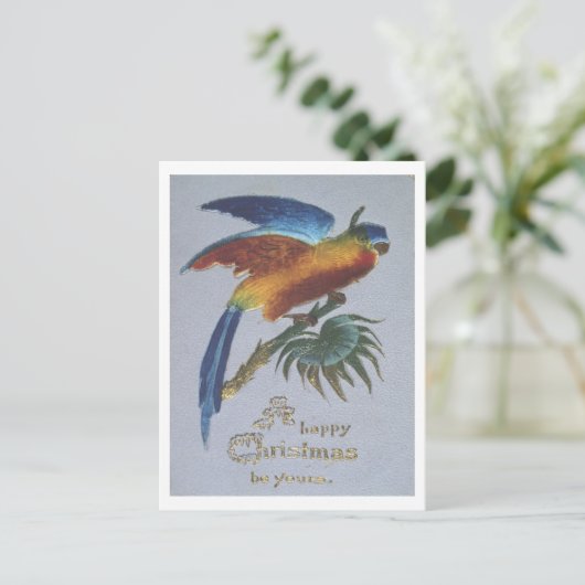 ヴィンテージ1905年のオウムのクリスマス挨拶 ポストカード (スタンド正面)