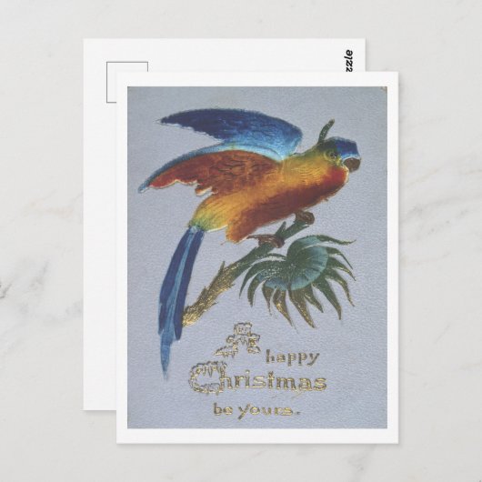 ヴィンテージ1905年のオウムのクリスマス挨拶 ポストカード (正面/裏面)
