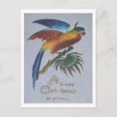 ヴィンテージ1905年のオウムのクリスマス挨拶 ポストカード (正面)