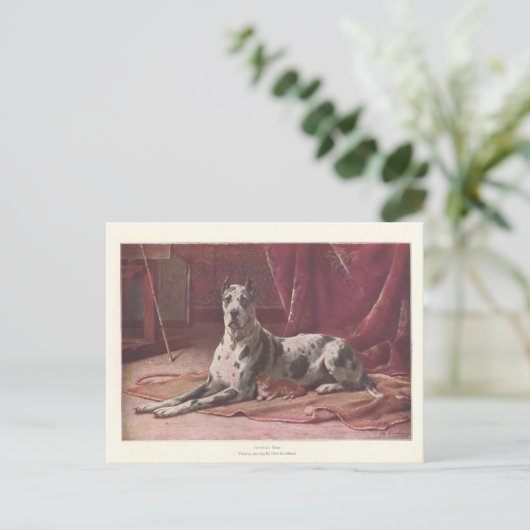 ヴィンテージ1907イラストレーションの犬と猫 ポストカード (スタンド正面)