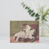 ヴィンテージ1907年イラストレーションの子猫遊たち ポストカード (スタンド正面)