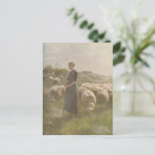 ヴィンテージ1907年牧草地における羊のイラストレーション ポストカード (スタンド正面)