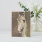 ヴィンテージ1907白い馬のイラストレーション ポストカード (スタンド正面)