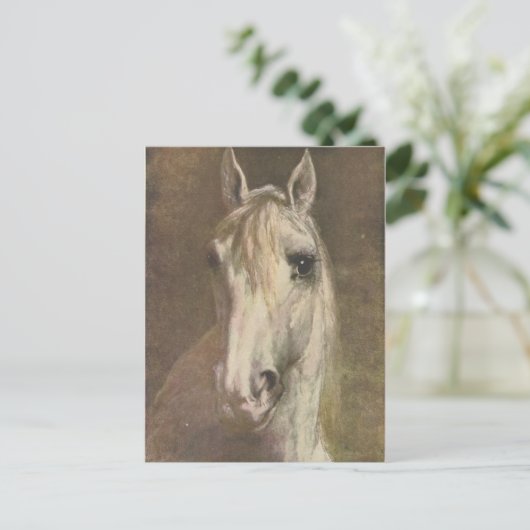 ヴィンテージ1907白い馬のイラストレーション ポストカード (スタンド正面)