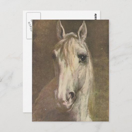 ヴィンテージ1907白い馬のイラストレーション ポストカード (正面/裏面)
