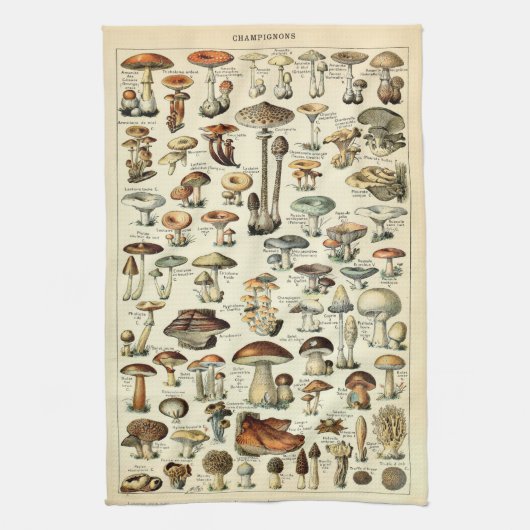 ヴィンテージ1909マッシュルームアートbyアドルフ・ミロ キッチンタオル (縦)