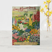 ヴィンテージ1913の種カタログ、 カード (黄色い花)