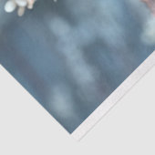 ヴィンテージ1920年代マルセラ・デコページ 薄葉紙 (詳細)