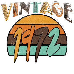 ヴィンテージ1972 Tシャツ