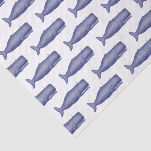 ヴィンテージ19thセンチュリークジラスケッチN 薄葉紙 (詳細)