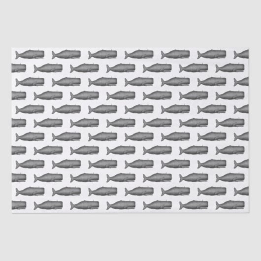 ヴィンテージ19thセンチュリークジラスケッチN 薄葉紙 (正面)