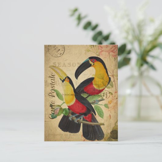 ヴィンテージ2カラフル Toucan Birdsフローラフランスの ポストカード (スタンド正面)