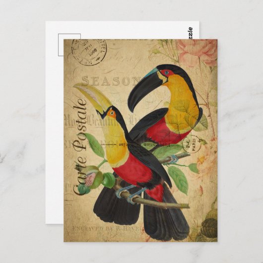 ヴィンテージ2カラフル Toucan Birdsフローラフランスの ポストカード (正面/裏面)