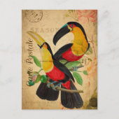 ヴィンテージ2カラフル Toucan Birdsフローラフランスの ポストカード (正面)
